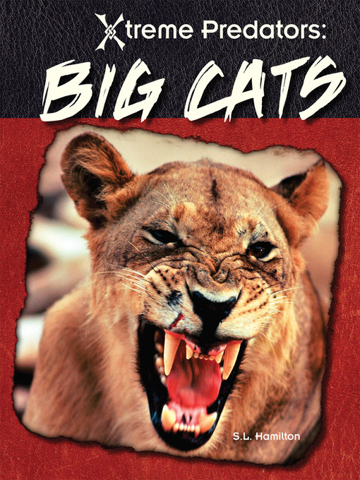 Title details for Big Cats by Sue L. Hamilton - Available